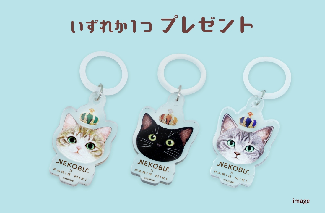 フェリシモ「猫部」 × PARIS MIKI | 猫たちをイメージしたメガネ